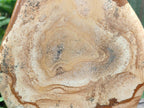 Polished Picture Stone Jasper Standing Display Pieces x 2 From Ais-Ais, Namibia - Toprock Gemstones and Minerals 