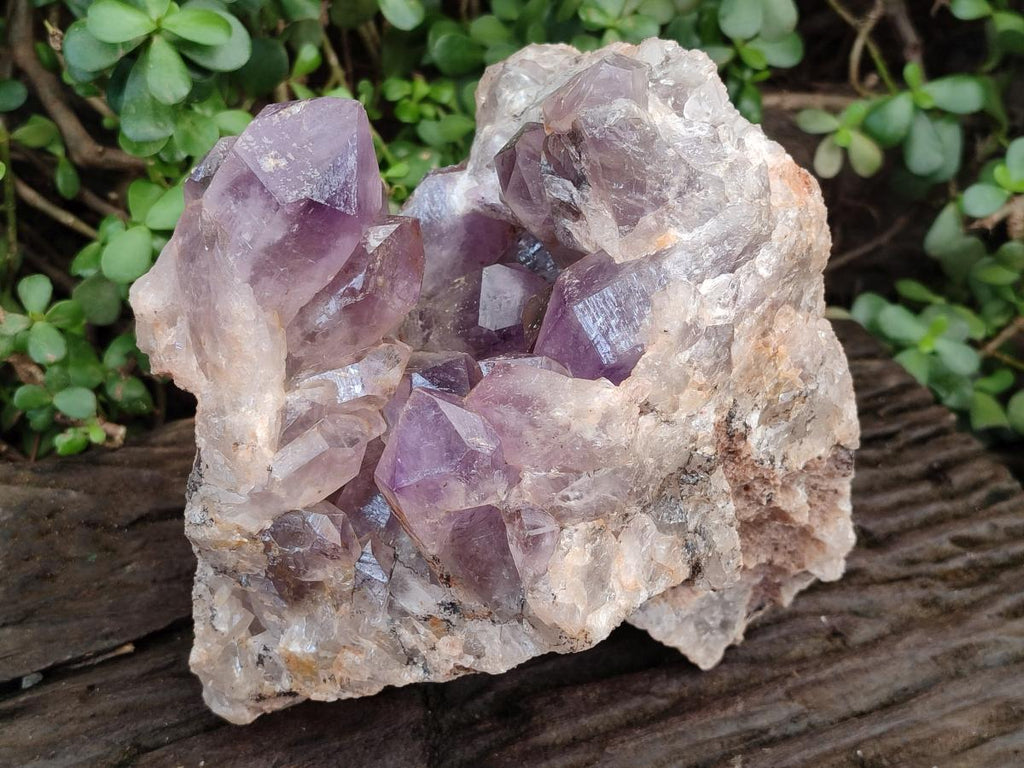 Natural Jacaranda Amethyst Crystal Clusters x 2 From Mumbwa, Zambia - Toprock Gemstones and Minerals 