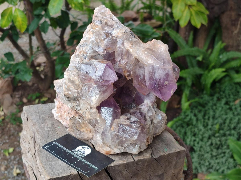 Natural Jacaranda Amethyst Crystal Clusters x 2 From Mumbwa, Zambia - Toprock Gemstones and Minerals 