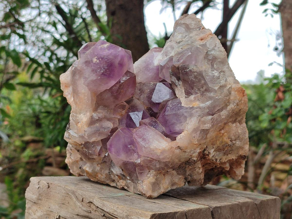 Natural Jacaranda Amethyst Crystal Clusters x 2 From Mumbwa, Zambia - Toprock Gemstones and Minerals 