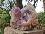 Natural Jacaranda Amethyst Crystal Clusters x 2 From Mumbwa, Zambia - Toprock Gemstones and Minerals 