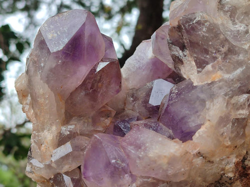 Natural Jacaranda Amethyst Crystal Clusters x 2 From Mumbwa, Zambia - Toprock Gemstones and Minerals 