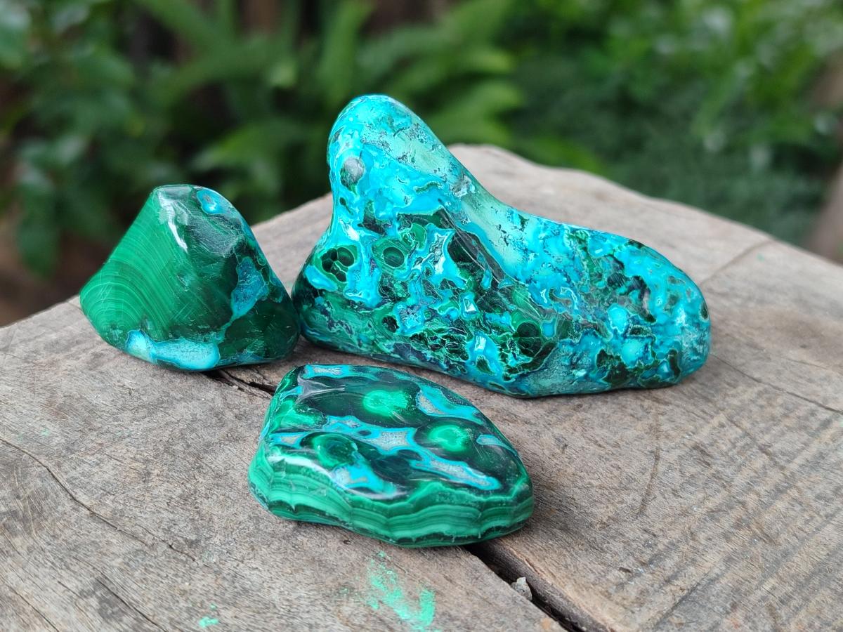 Polished Malacolla Free Forms x 35 From Kulukuluku, Congo - Toprock Gemstones and Minerals 