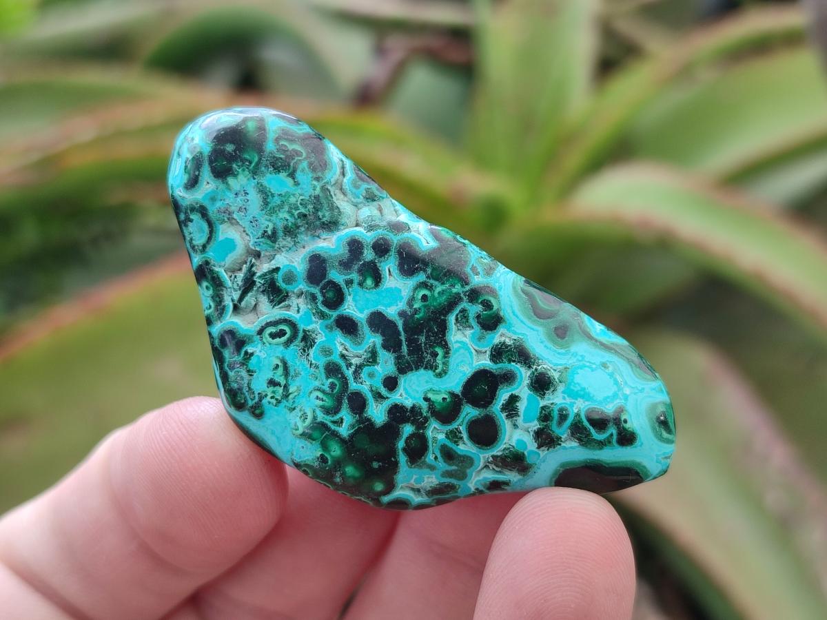 Polished Malacolla Free Forms x 35 From Kulukuluku, Congo - Toprock Gemstones and Minerals 