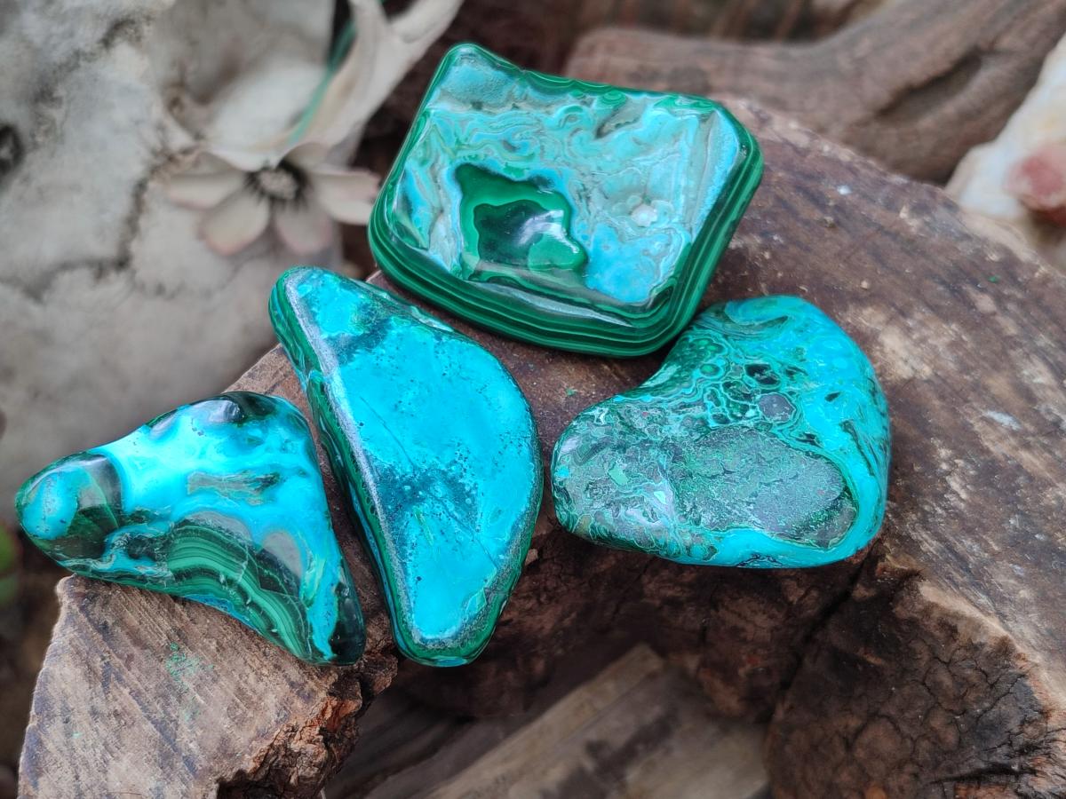 Polished Malacolla Free Forms x 35 From Kulukuluku, Congo - Toprock Gemstones and Minerals 