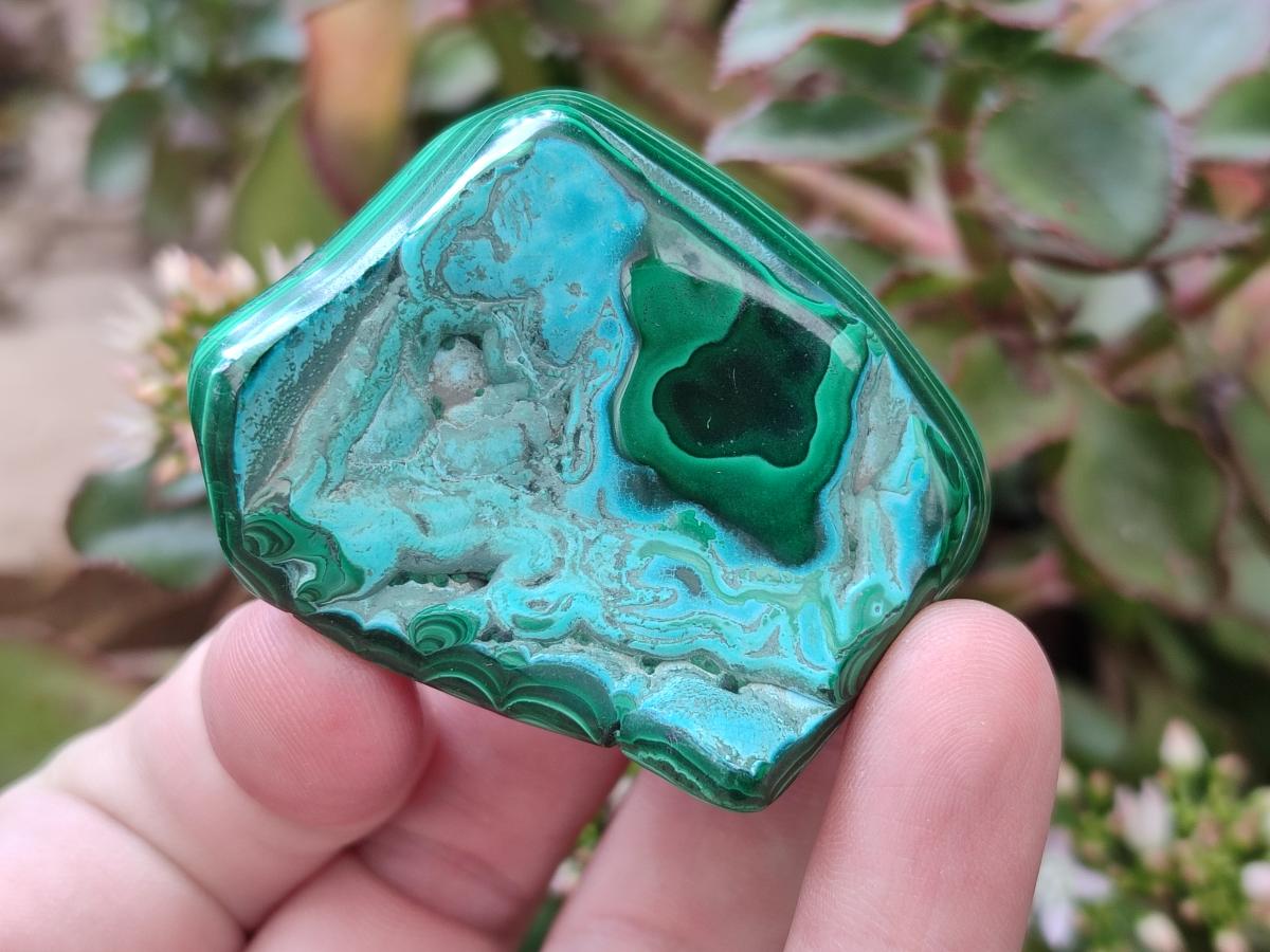 Polished Malacolla Free Forms x 35 From Kulukuluku, Congo - Toprock Gemstones and Minerals 