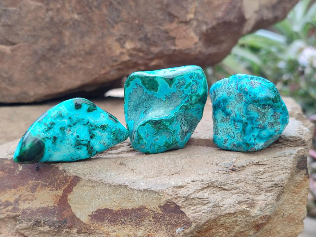 Polished Malacolla Free Forms x 35 From Kulukuluku, Congo - Toprock Gemstones and Minerals 