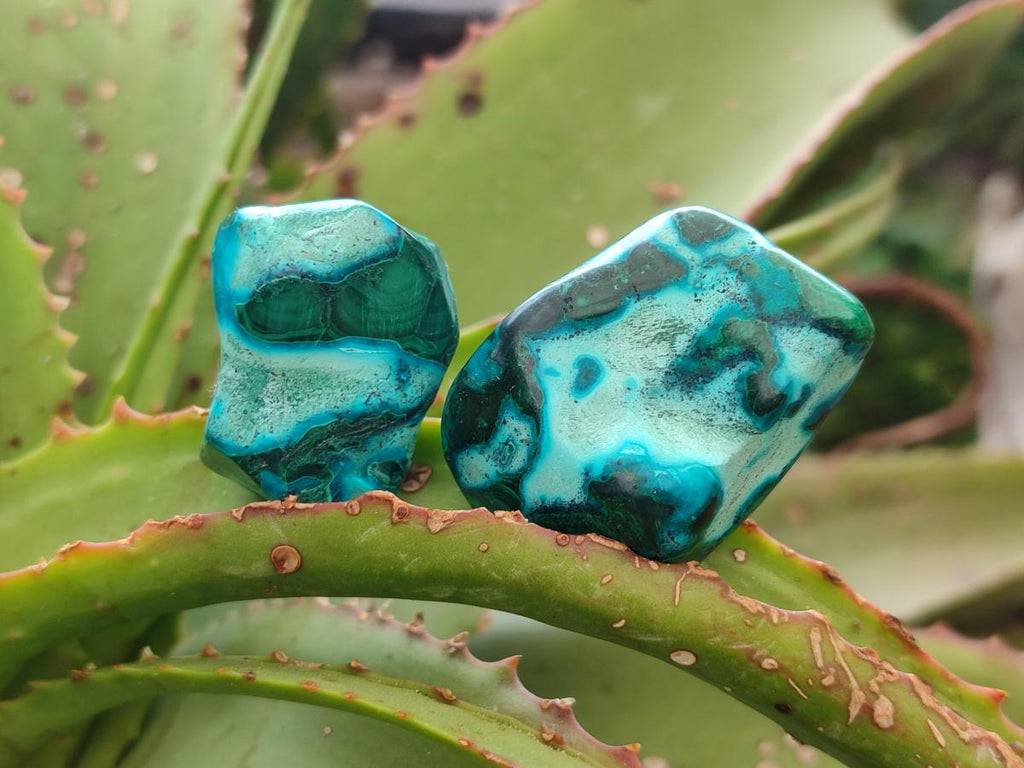 Polished Malacolla Free Forms x 35 From Kulukuluku, Congo - Toprock Gemstones and Minerals 