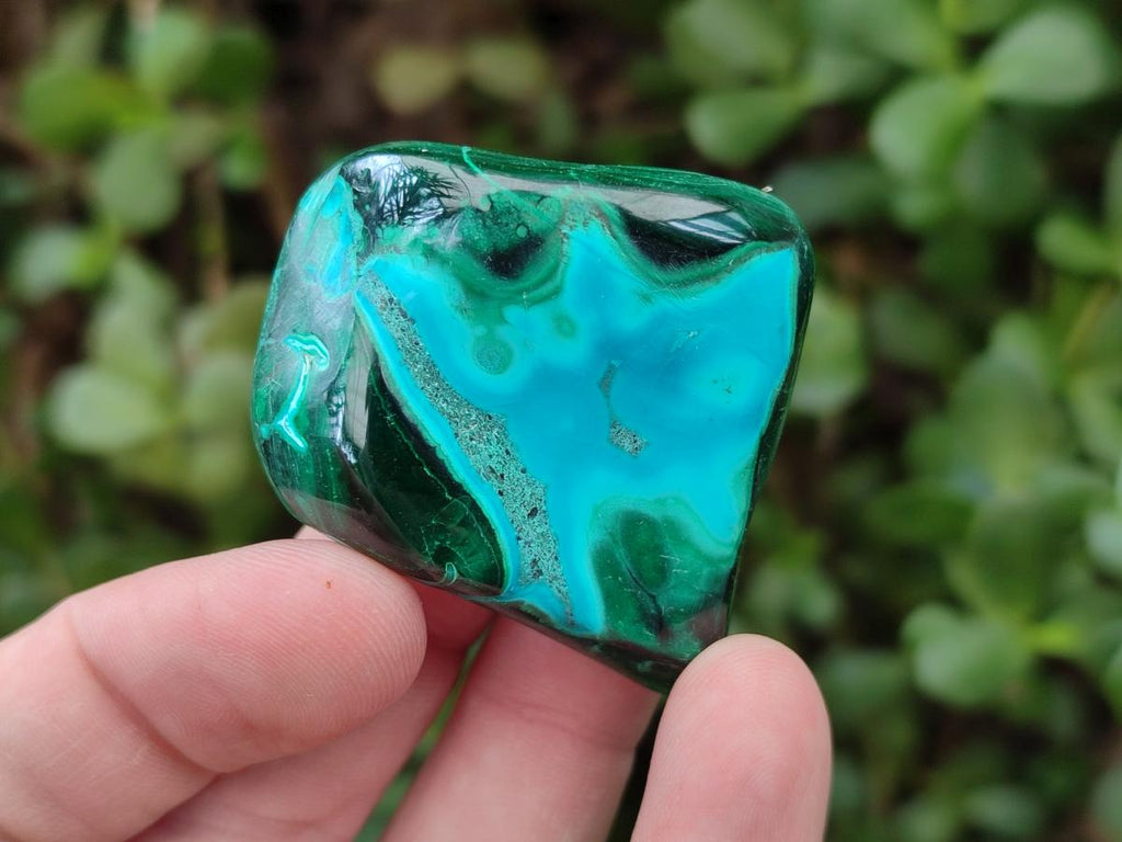 Polished Malacolla Free Forms x 35 From Kulukuluku, Congo - Toprock Gemstones and Minerals 