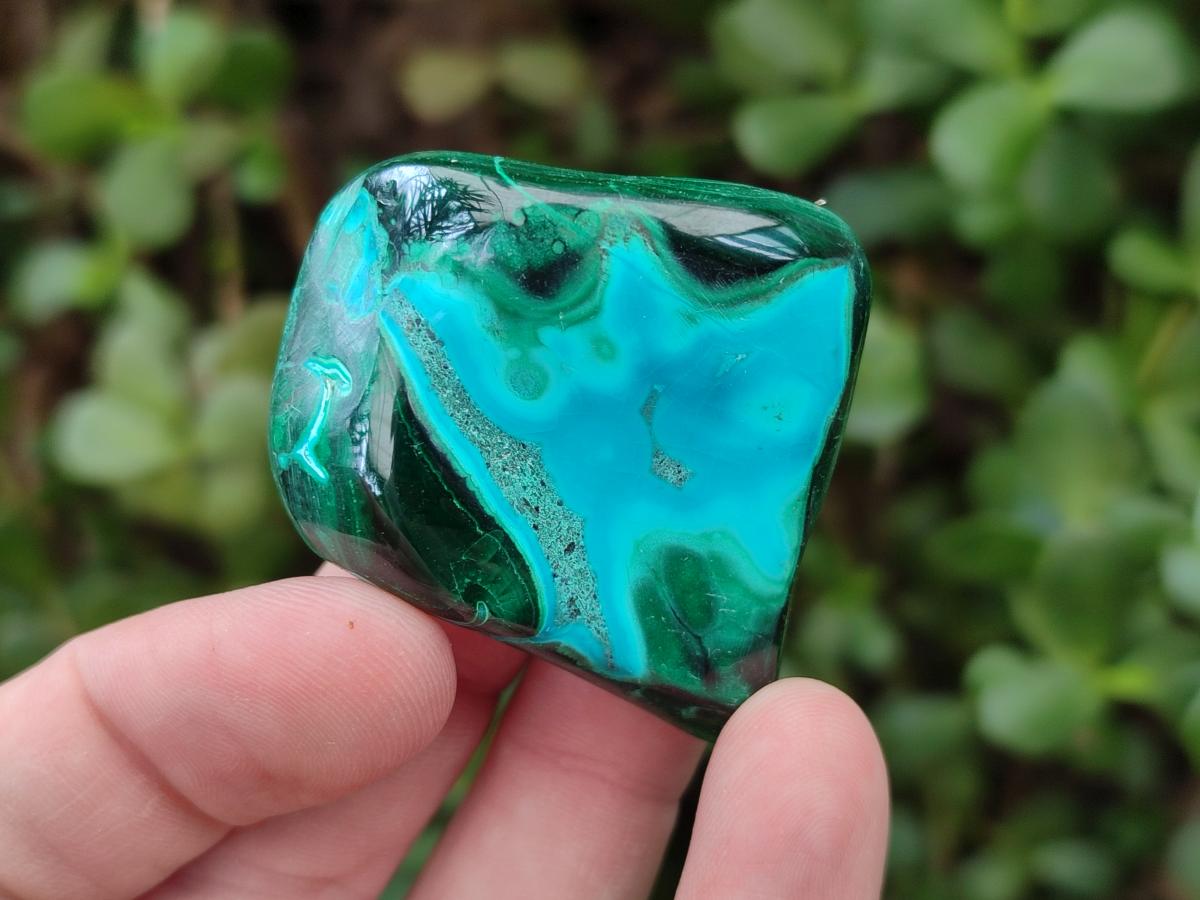 Polished Malacolla Free Forms x 35 From Kulukuluku, Congo - Toprock Gemstones and Minerals 