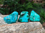 Polished Malacolla Free Forms x 35 From Kulukuluku, Congo - Toprock Gemstones and Minerals 
