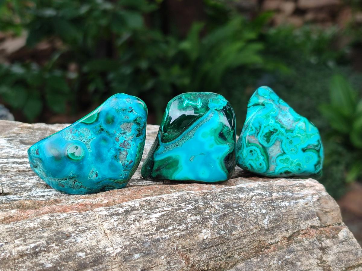 Polished Malacolla Free Forms x 35 From Kulukuluku, Congo - Toprock Gemstones and Minerals 