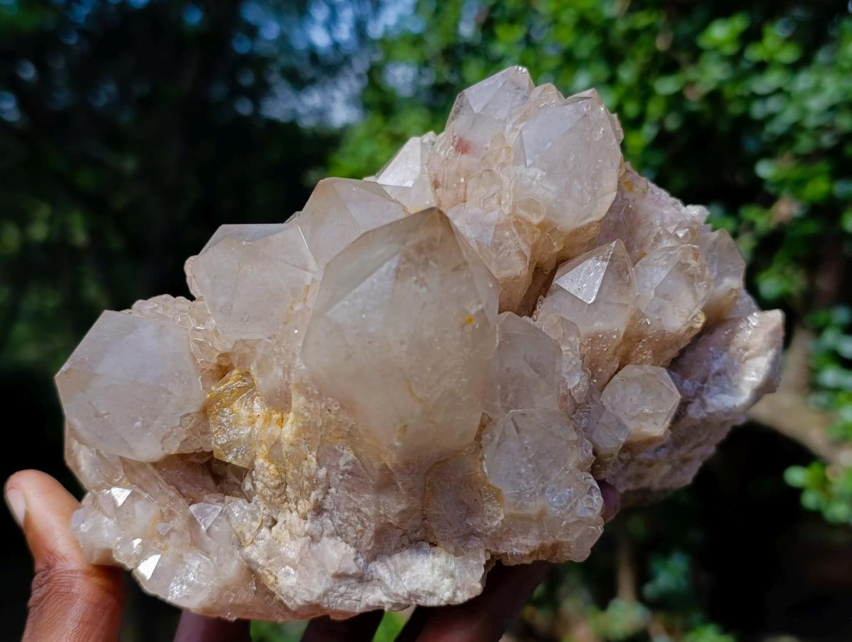 Natural Large Cascading White Phantom Smokey Luena Quartz Cluster x 1 From Luena, Congo - Toprock Gemstones and Minerals 