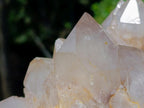 Natural Large Cascading White Phantom Smokey Luena Quartz Cluster x 1 From Luena, Congo - Toprock Gemstones and Minerals 