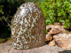 Polished Large Super Rare Eclogite Standing Display Piece x 1 From Northern Cape, South Africa - Toprock Gemstones and Minerals 
