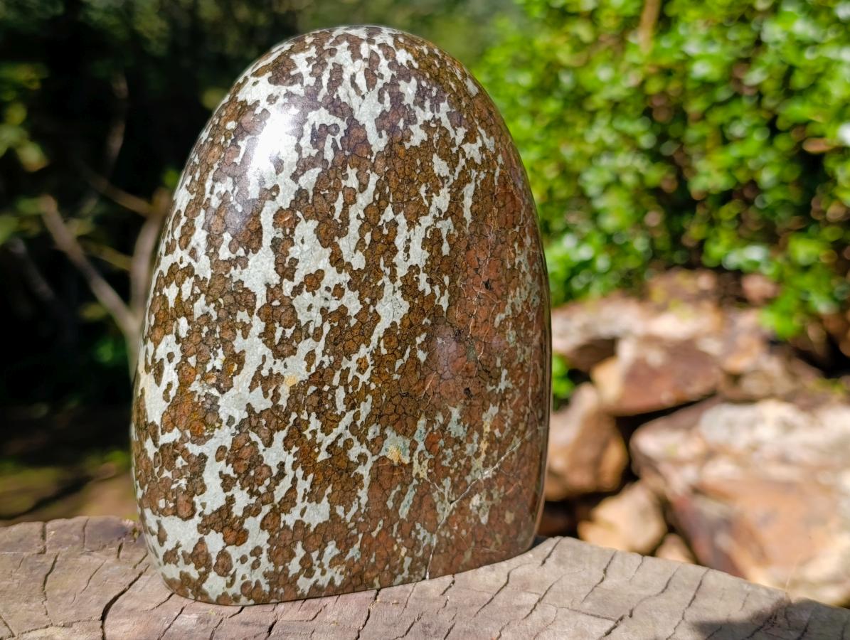 Polished Large Super Rare Eclogite Standing Display Piece x 1 From Northern Cape, South Africa - Toprock Gemstones and Minerals 