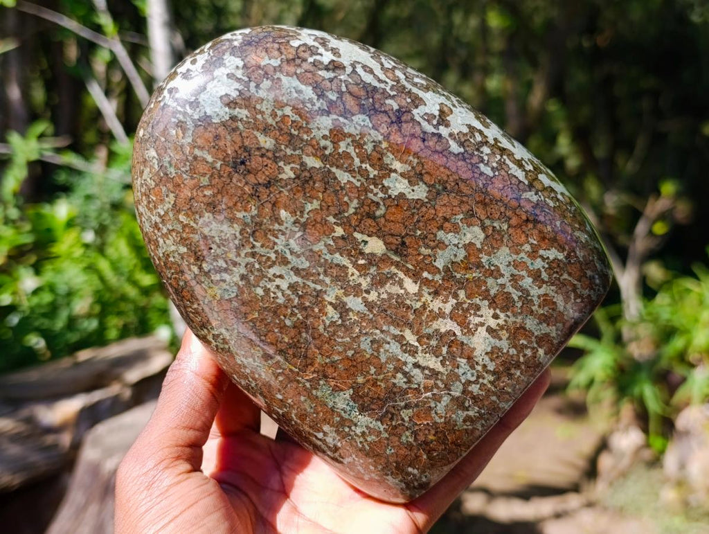 Polished Large Super Rare Eclogite Standing Display Piece x 1 From Northern Cape, South Africa - Toprock Gemstones and Minerals 