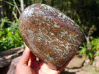 Polished Large Super Rare Eclogite Standing Display Piece x 1 From Northern Cape, South Africa - Toprock Gemstones and Minerals 
