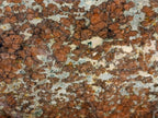 Polished Large Super Rare Eclogite Standing Display Piece x 1 From Northern Cape, South Africa - Toprock Gemstones and Minerals 
