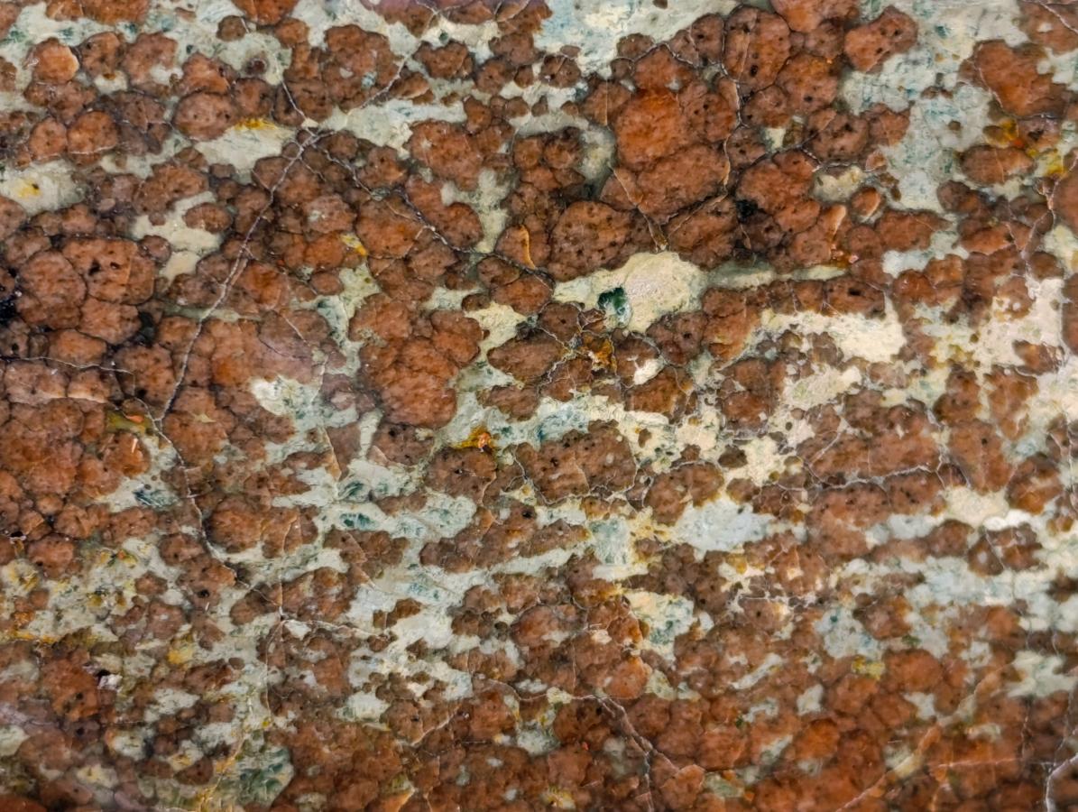 Polished Large Super Rare Eclogite Standing Display Piece x 1 From Northern Cape, South Africa - Toprock Gemstones and Minerals 