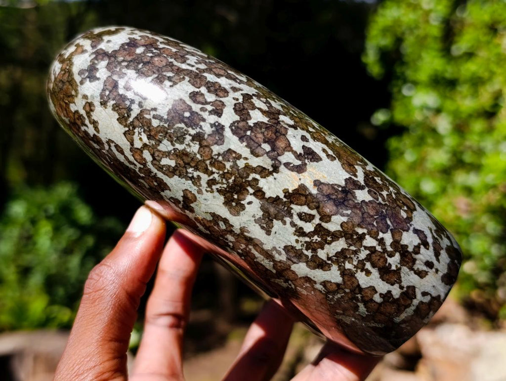 Polished Large Super Rare Eclogite Standing Display Piece x 1 From Northern Cape, South Africa - Toprock Gemstones and Minerals 