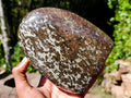 Polished Large Super Rare Eclogite Standing Display Piece x 1 From Northern Cape, South Africa - Toprock Gemstones and Minerals 