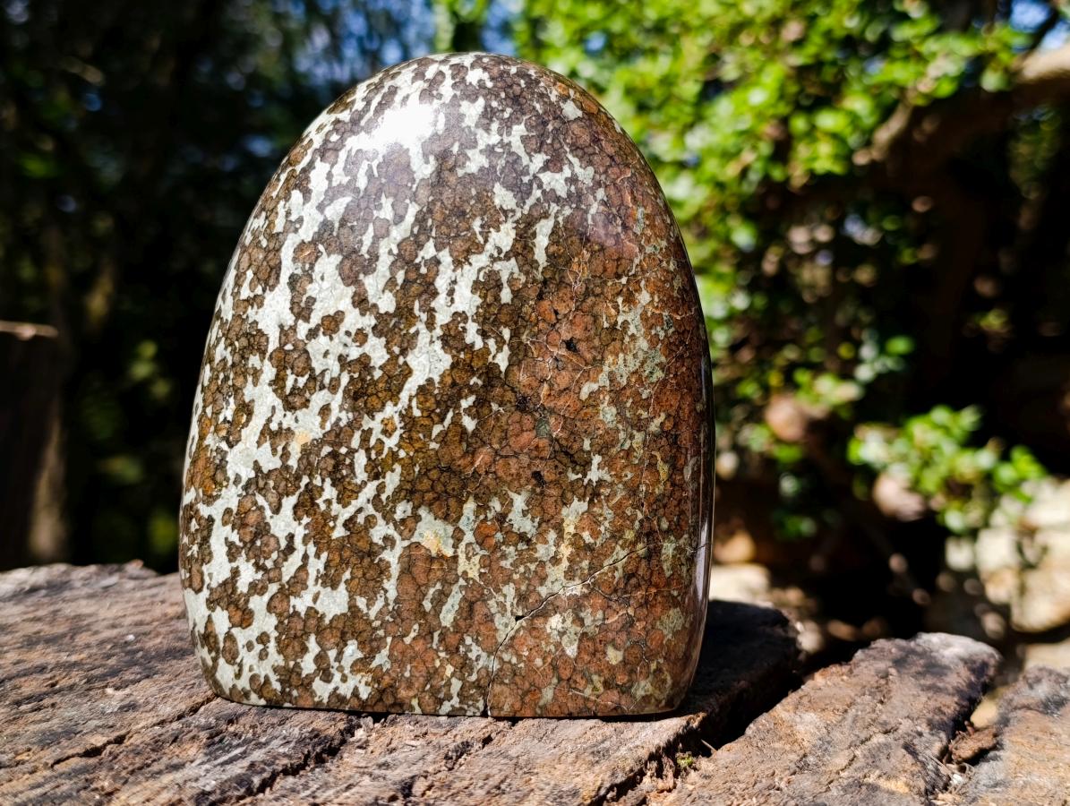 Polished Large Super Rare Eclogite Standing Display Piece x 1 From Northern Cape, South Africa - Toprock Gemstones and Minerals 