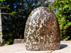 Polished Large Super Rare Eclogite Standing Display Piece x 1 From Northern Cape, South Africa - Toprock Gemstones and Minerals 