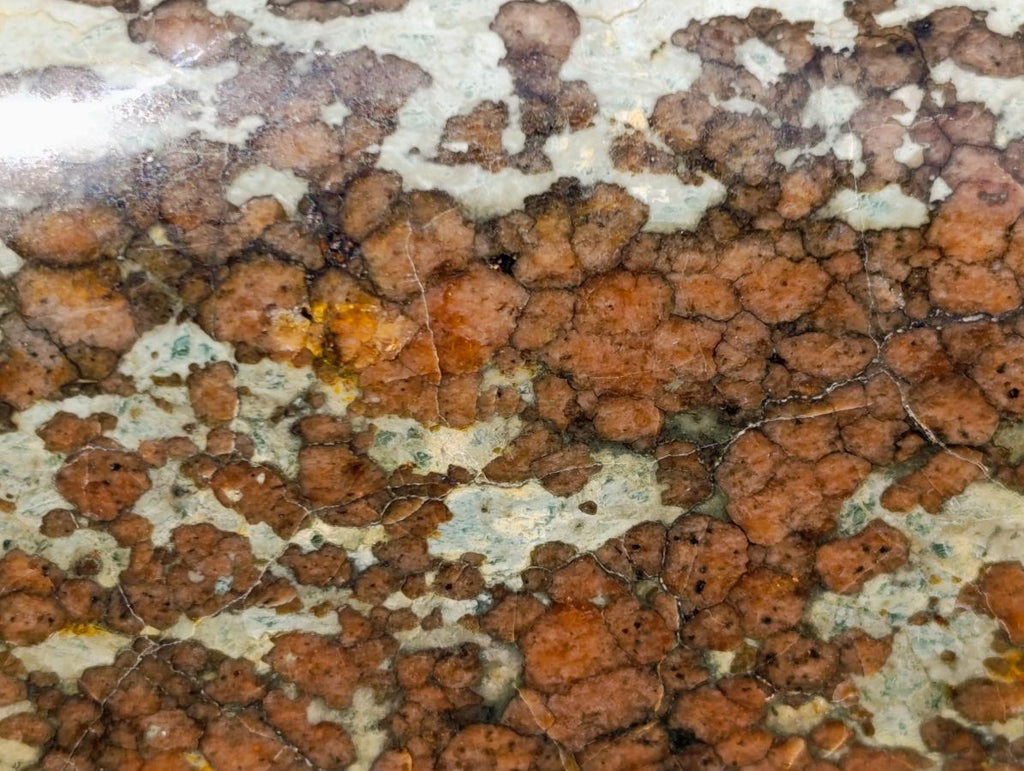 Polished Large Super Rare Eclogite Standing Display Piece x 1 From Northern Cape, South Africa - Toprock Gemstones and Minerals 