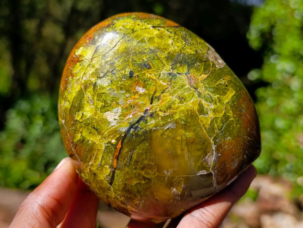 Polished Green Opal Standing Display Pieces x 3 From Betroka, Madagascar - Toprock Gemstones and Minerals 