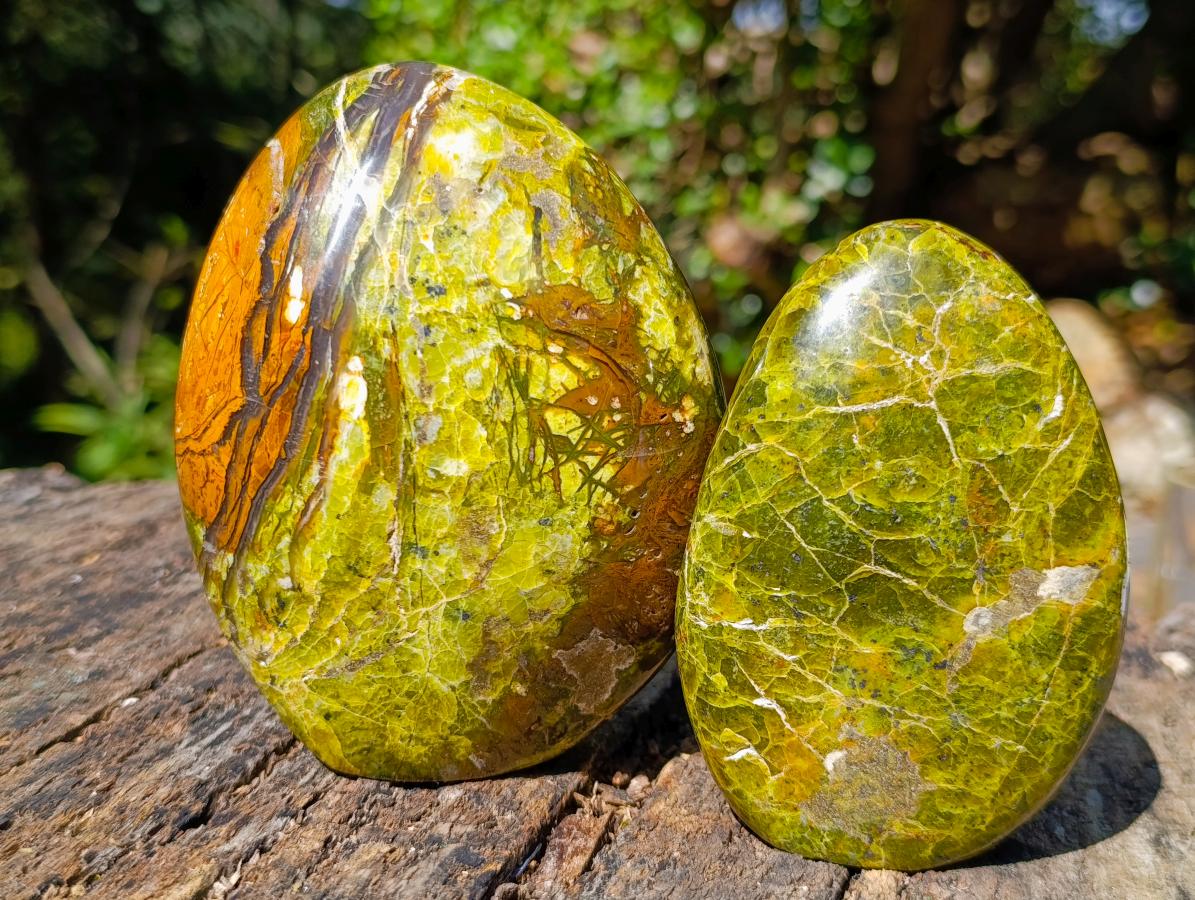 Polished Green Opal Standing Display Pieces x 3 From Betroka, Madagascar - Toprock Gemstones and Minerals 
