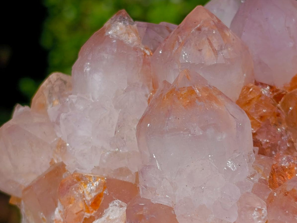 Natural Spirit Spirit Ametrine Clusters x 2 From Boekenhouthoek, South Africa - Toprock Gemstones and Minerals 
