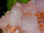 Natural Spirit Spirit Ametrine Clusters x 2 From Boekenhouthoek, South Africa - Toprock Gemstones and Minerals 