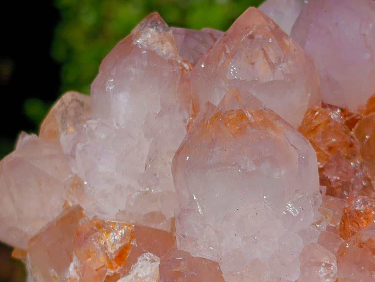 Natural Spirit Spirit Ametrine Clusters x 2 From Boekenhouthoek, South Africa - Toprock Gemstones and Minerals 