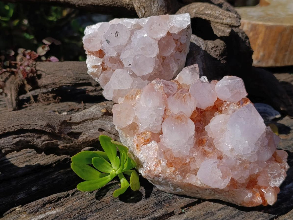 Natural Spirit Spirit Ametrine Clusters x 2 From Boekenhouthoek, South Africa - Toprock Gemstones and Minerals 