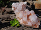 Natural Spirit Spirit Ametrine Clusters x 2 From Boekenhouthoek, South Africa - Toprock Gemstones and Minerals 