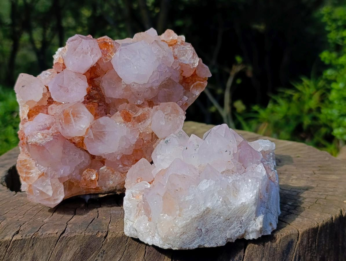 Natural Spirit Spirit Ametrine Clusters x 2 From Boekenhouthoek, South Africa - Toprock Gemstones and Minerals 