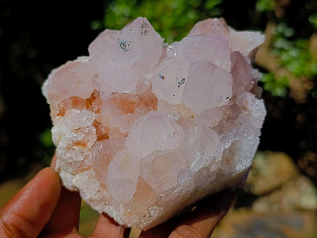 Natural Spirit Spirit Ametrine Clusters x 2 From Boekenhouthoek, South Africa - Toprock Gemstones and Minerals 