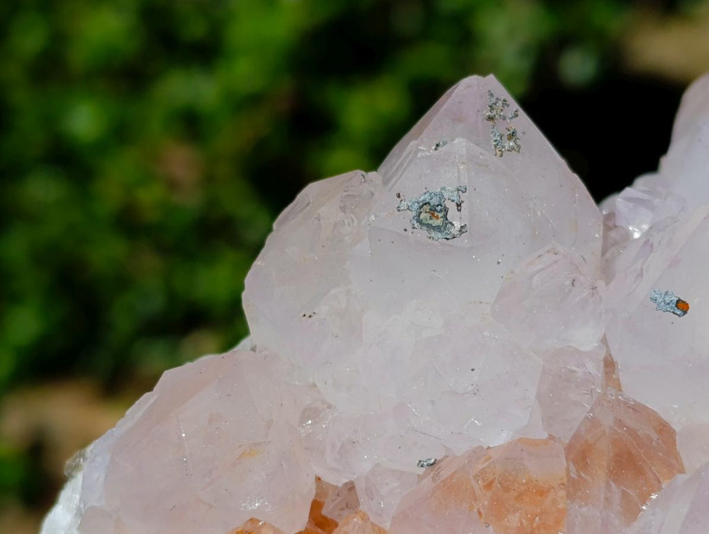 Natural Spirit Spirit Ametrine Clusters x 2 From Boekenhouthoek, South Africa - Toprock Gemstones and Minerals 
