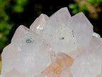 Natural Spirit Spirit Ametrine Clusters x 2 From Boekenhouthoek, South Africa - Toprock Gemstones and Minerals 