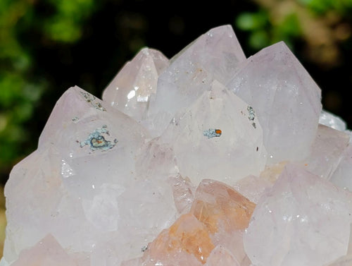 Natural Spirit Spirit Ametrine Clusters x 2 From Boekenhouthoek, South Africa - Toprock Gemstones and Minerals 