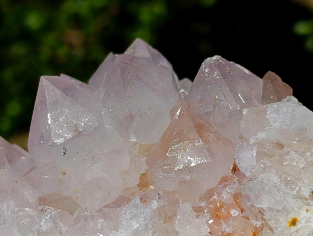 Natural Spirit Spirit Ametrine Clusters x 2 From Boekenhouthoek, South Africa - Toprock Gemstones and Minerals 