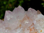 Natural Spirit Spirit Ametrine Clusters x 2 From Boekenhouthoek, South Africa - Toprock Gemstones and Minerals 