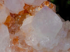Natural Spirit Spirit Ametrine Clusters x 2 From Boekenhouthoek, South Africa - Toprock Gemstones and Minerals 