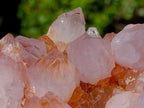 Natural Spirit Spirit Ametrine Clusters x 2 From Boekenhouthoek, South Africa - Toprock Gemstones and Minerals 