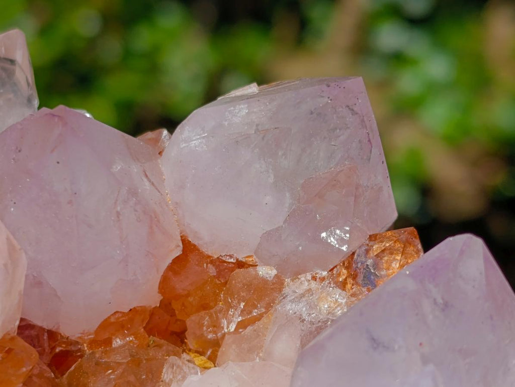 Natural Spirit Spirit Ametrine Clusters x 2 From Boekenhouthoek, South Africa - Toprock Gemstones and Minerals 