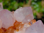 Natural Spirit Spirit Ametrine Clusters x 2 From Boekenhouthoek, South Africa - Toprock Gemstones and Minerals 
