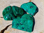 Polished Flower Banded Malachite Free Forms x 4 From Congo - Toprock Gemstones and Minerals 