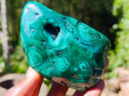 Polished Flower Banded Malachite Free Forms x 4 From Congo - Toprock Gemstones and Minerals 