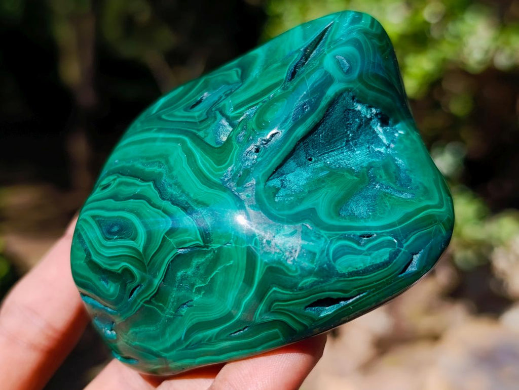 Polished Flower Banded Malachite Free Forms x 4 From Congo - Toprock Gemstones and Minerals 